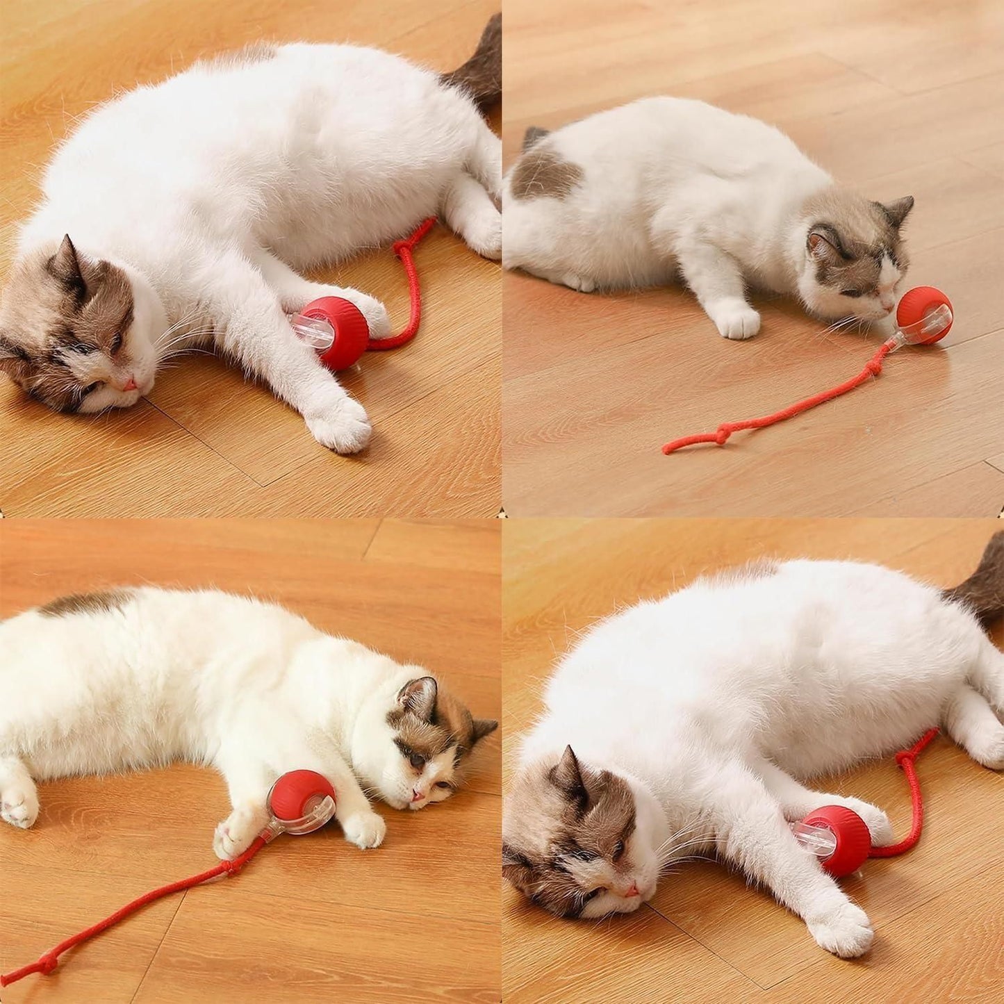 Viral Rolling Ball – Smart Interactive Cat Toy for Endless Fun & Exercise